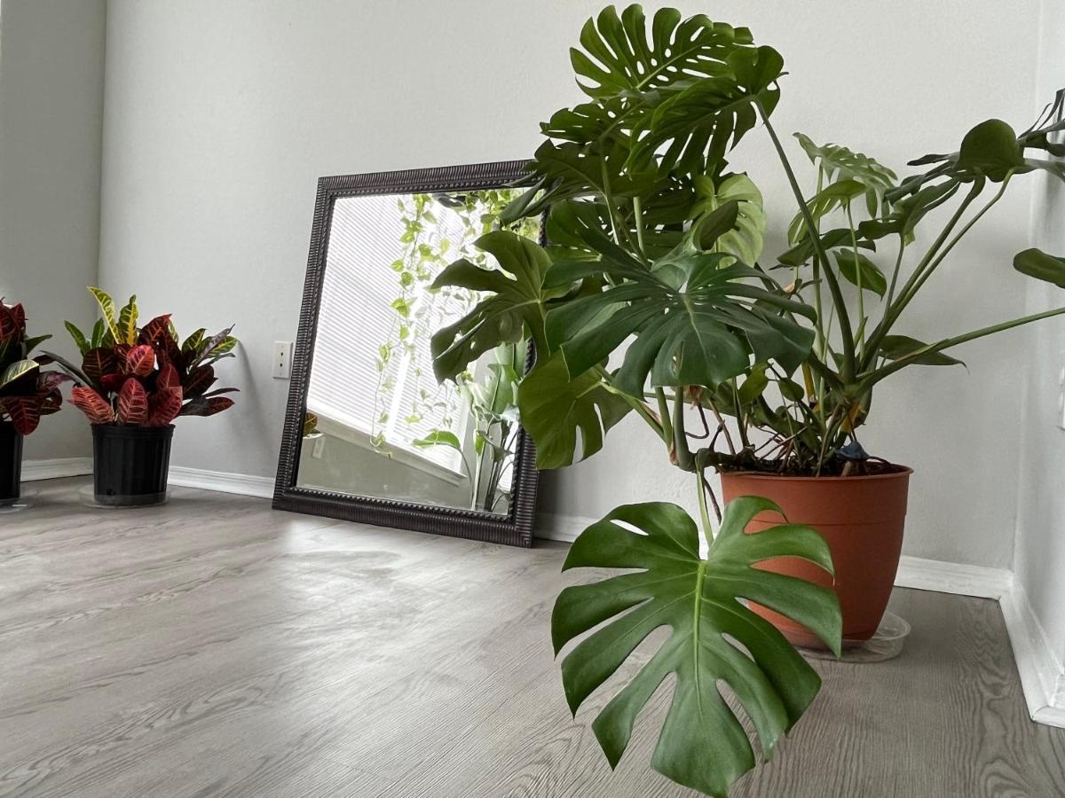 Next To Universal! 2Bedroom-2Bath-Many Indoor Plants Orlando Dış mekan fotoğraf